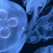 hayatoの画像