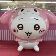 SaiM【プロフ必読】の画像