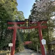 tauen1221の画像