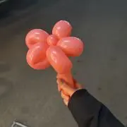 ミサキの画像