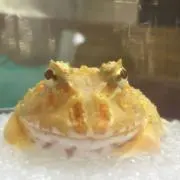 mの画像