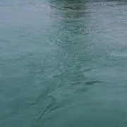 へのへのもへじの画像