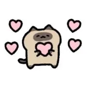きゅの画像
