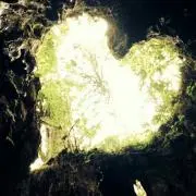 モツモツの画像