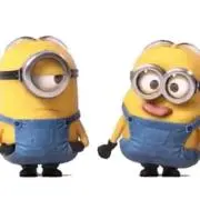 ぽこぷー