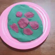 UTRの画像