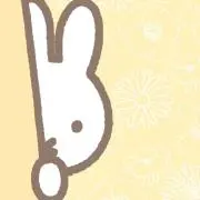 NOaoの画像