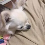 nnnnnの画像