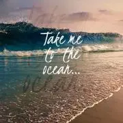 surfpunksの画像