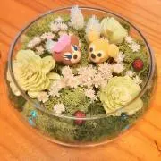 みゅうたん