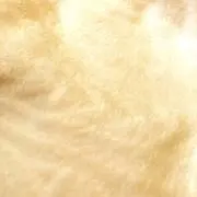 taoの画像