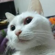 NAO＊プロフ必読＊