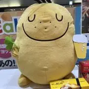kyon3の画像