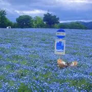 むつはの画像