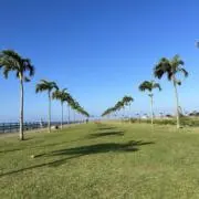 JIN2の画像