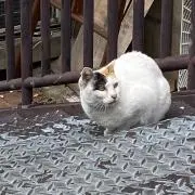 みよ