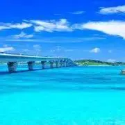 swallowの画像
