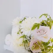 amo.の画像
