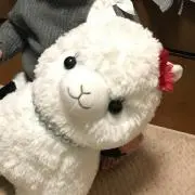 na。《プロフ読んで下さい。》の画像