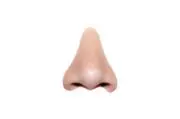 大竹