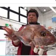 重吉佑磨