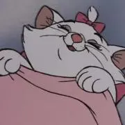 rrの画像