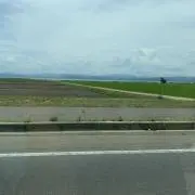 OICの画像