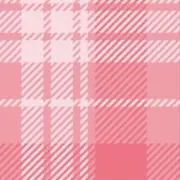 Sの画像