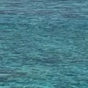 サク