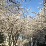 ぴさらつ