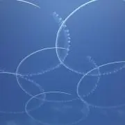 かける☆フォロー割りしてます☘️の画像