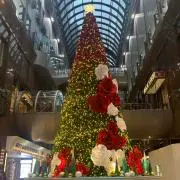 kettyの画像