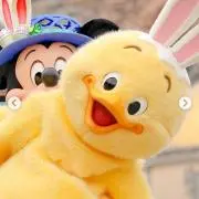 スネピヨの画像