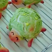カメ│プロフ一読ください