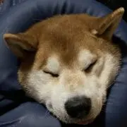 つぶan