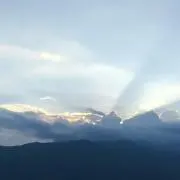 らっこの画像