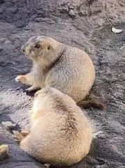紬_プロフ閲覧推奨の画像