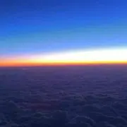にゃんこの画像