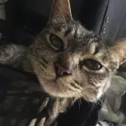 YOUの画像