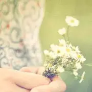 sham【プロフィール必読】の画像