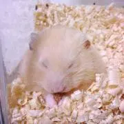 あーたろ