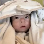 とっぺまの画像