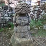 ぽんちょの画像