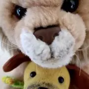 レオの画像