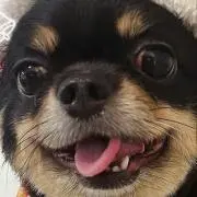 バイオちゃんの画像