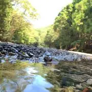 15の画像