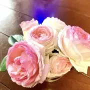 即決なら価格交渉も歓迎⭐️の画像