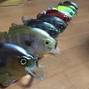 タケ