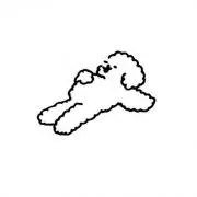Koの画像