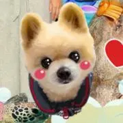 まり